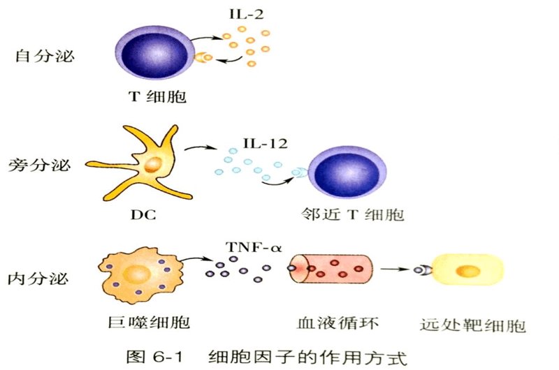 在选择生物技术考研方向时，不同学校的特色和优势各不相同。本文将通过对比分析，帮助你找到最适合自己的研究路径。