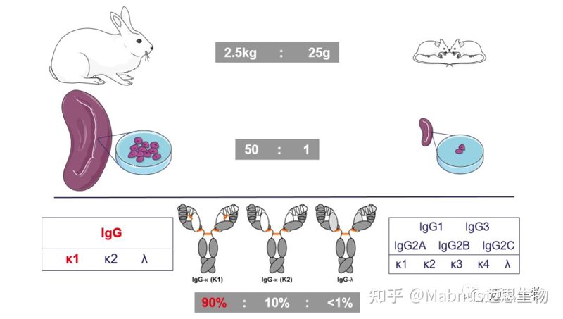 检验检疫技术中心的未来之路：改革势在必行