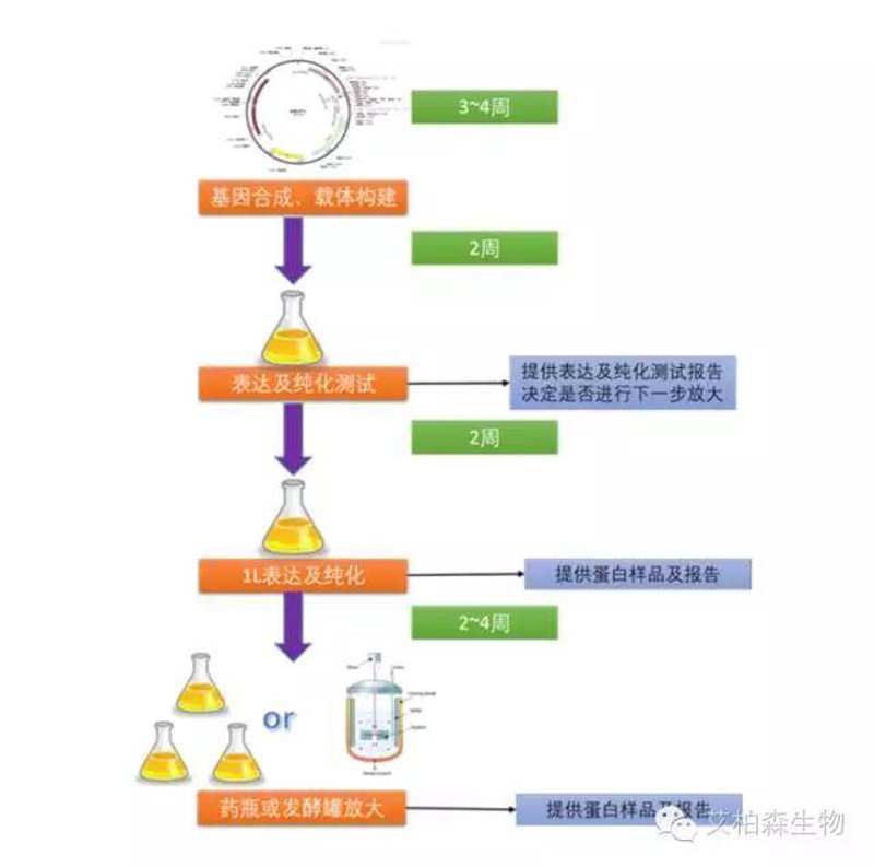 检验检疫技术中心是干嘛的？让我们从多个维度来解析这个关键问题。